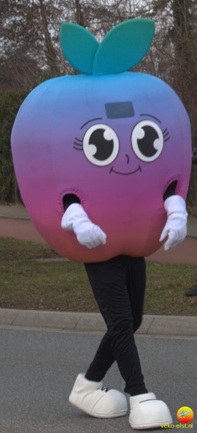 optocht_2026_2_29.jpg